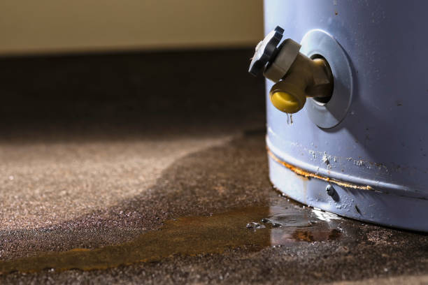 Professional Water damage restoration in Ben Avon, SC