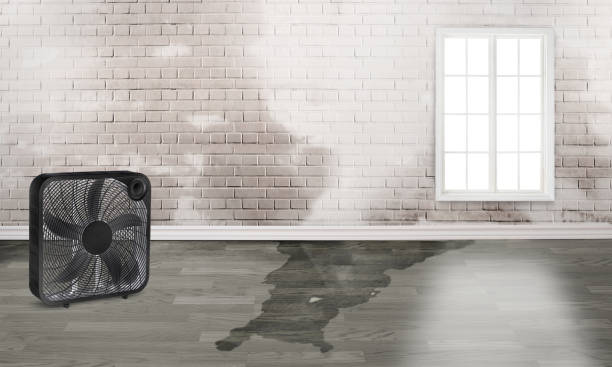 Best Water damage restoration near me  in Ben Avon, SC