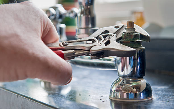 Best Flood restoration services  in Ben Avon, SC