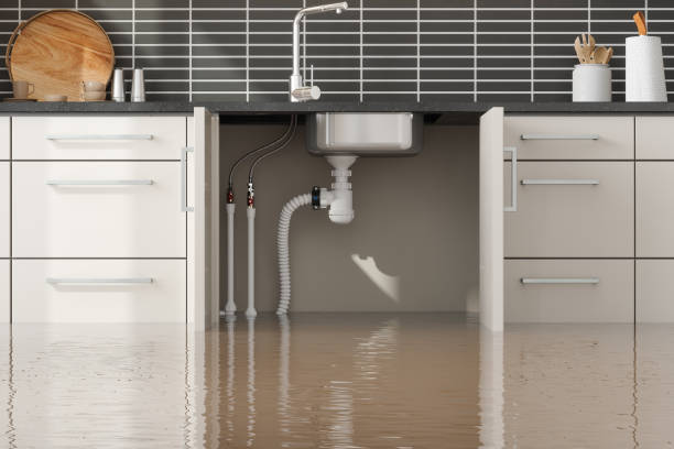 Ben Avon, SC Water damage restoration Pros