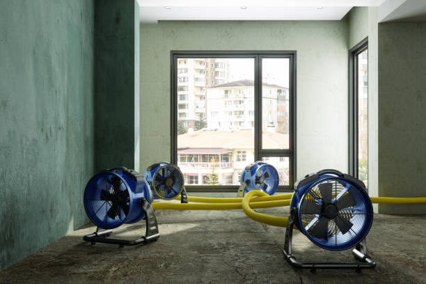 Best Mold removal after water damage  in Ben Avon, SC
